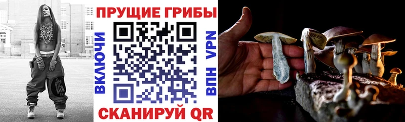Галлюциногенные грибы Cubensis  Феодосия 